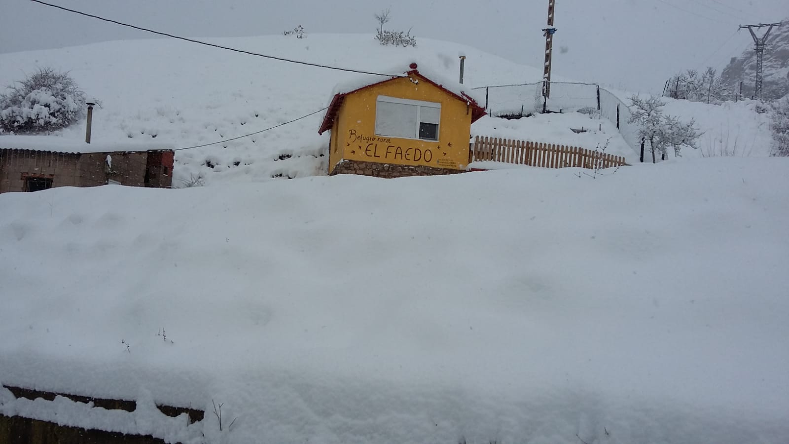 Fotos: La nieve llega a la provincia leonesa