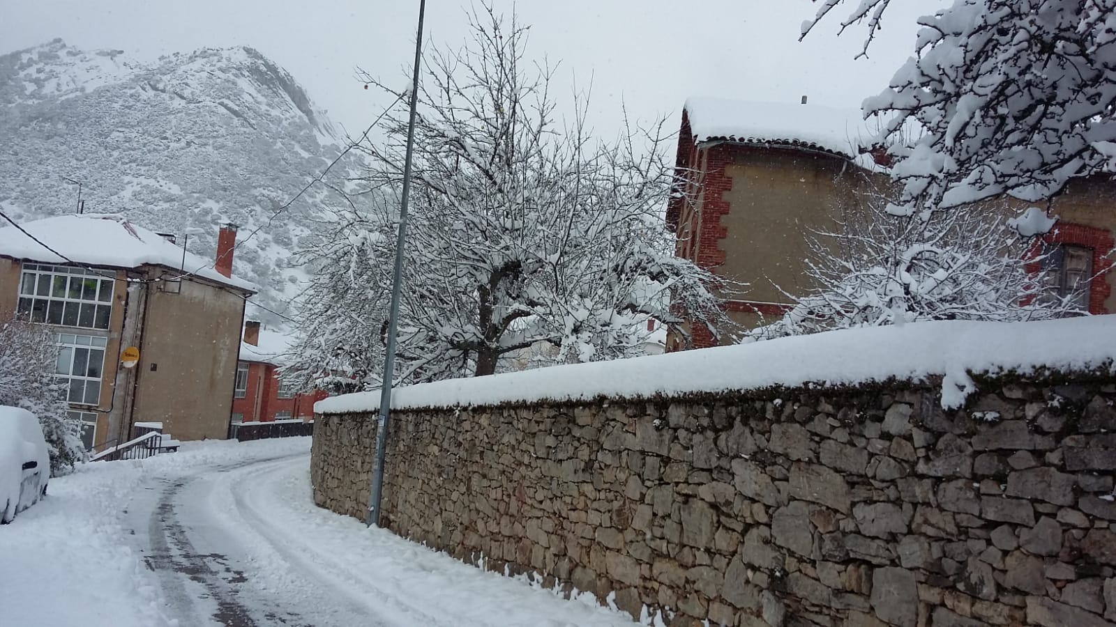 Fotos: La nieve llega a la provincia leonesa