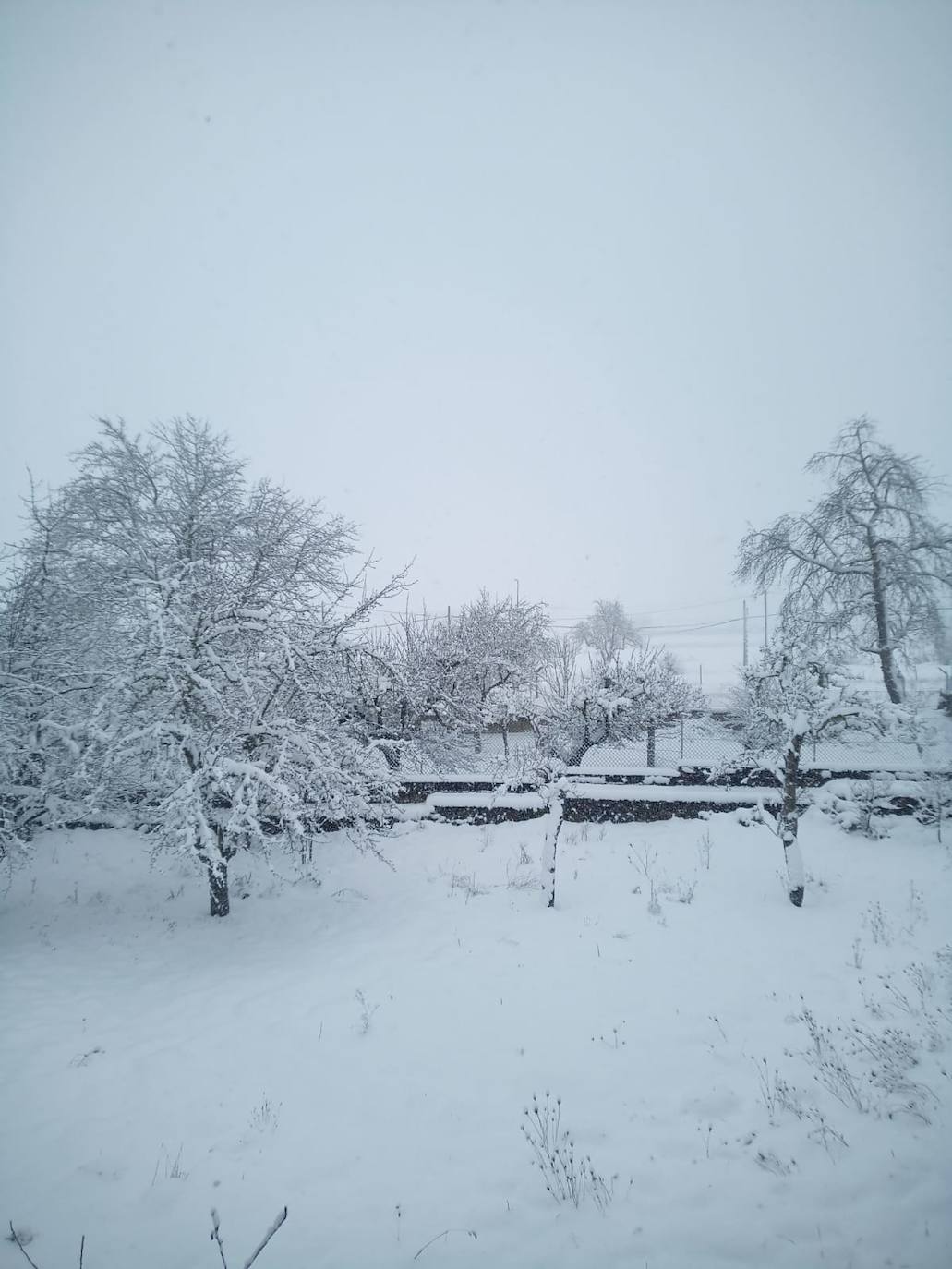 Fotos: La nieve llega a la provincia leonesa