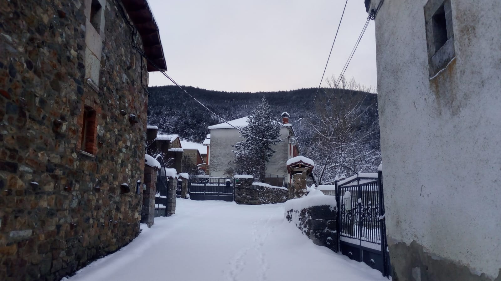 Fotos: La nieve llega a la provincia leonesa