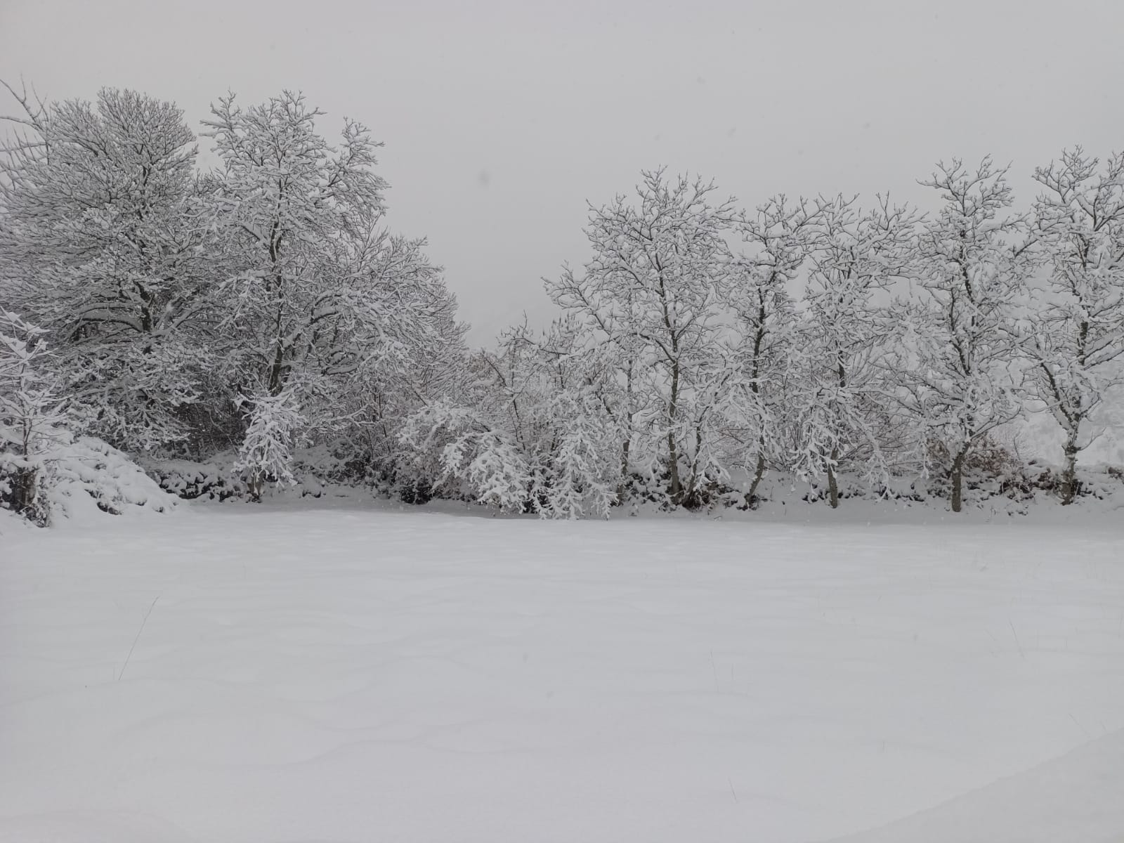 Fotos: La nieve llega a la provincia leonesa