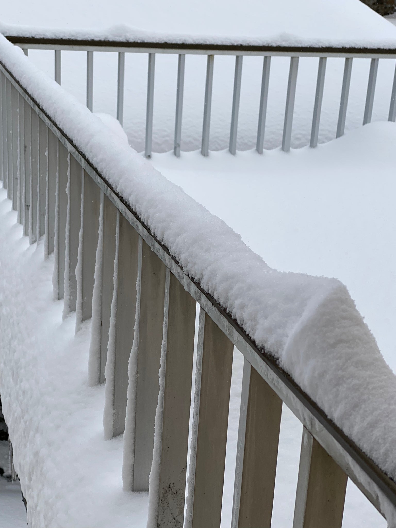 Fotos: La nieve llega a la provincia leonesa