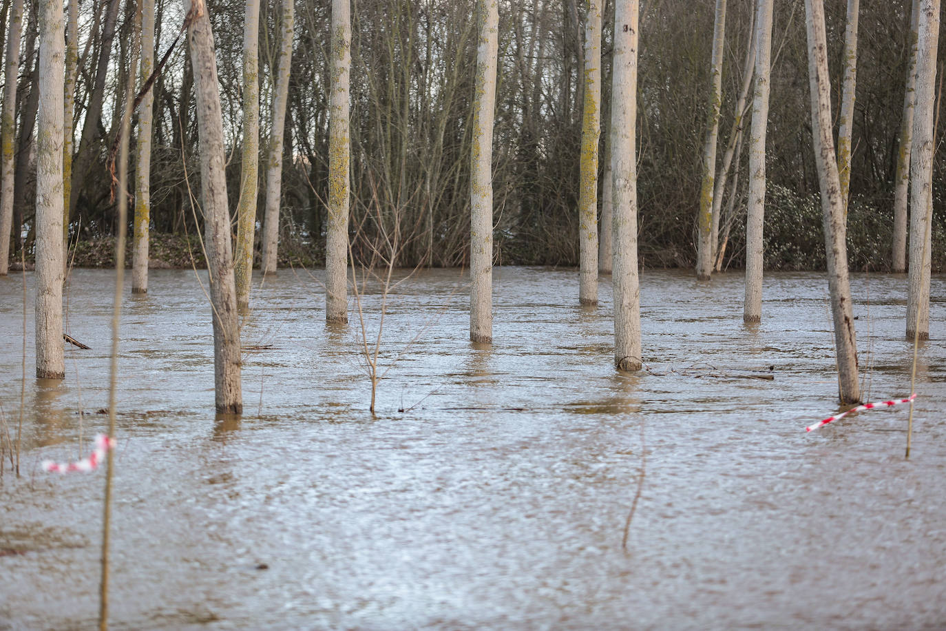 El río Tuerto se desborda a la altura de la localidad leonesa de San Félix de la Vega