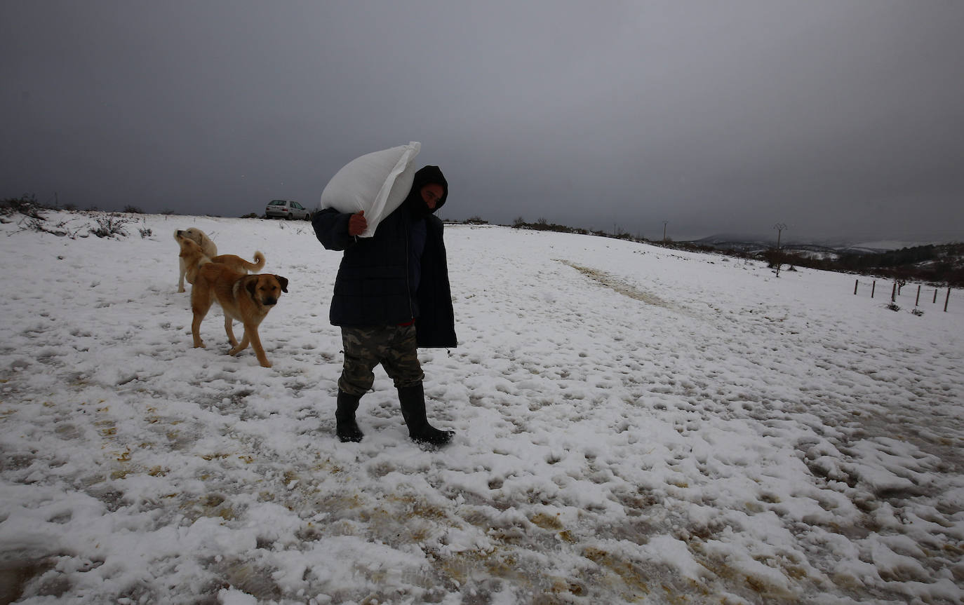 'Fien' comienza a remitir en la provincia pero la montaña se mantiene en fase de preemergencia. La nieve ha alcanzado de lleno a toda la provincia y El Bierzo no ha sido una excepción. 