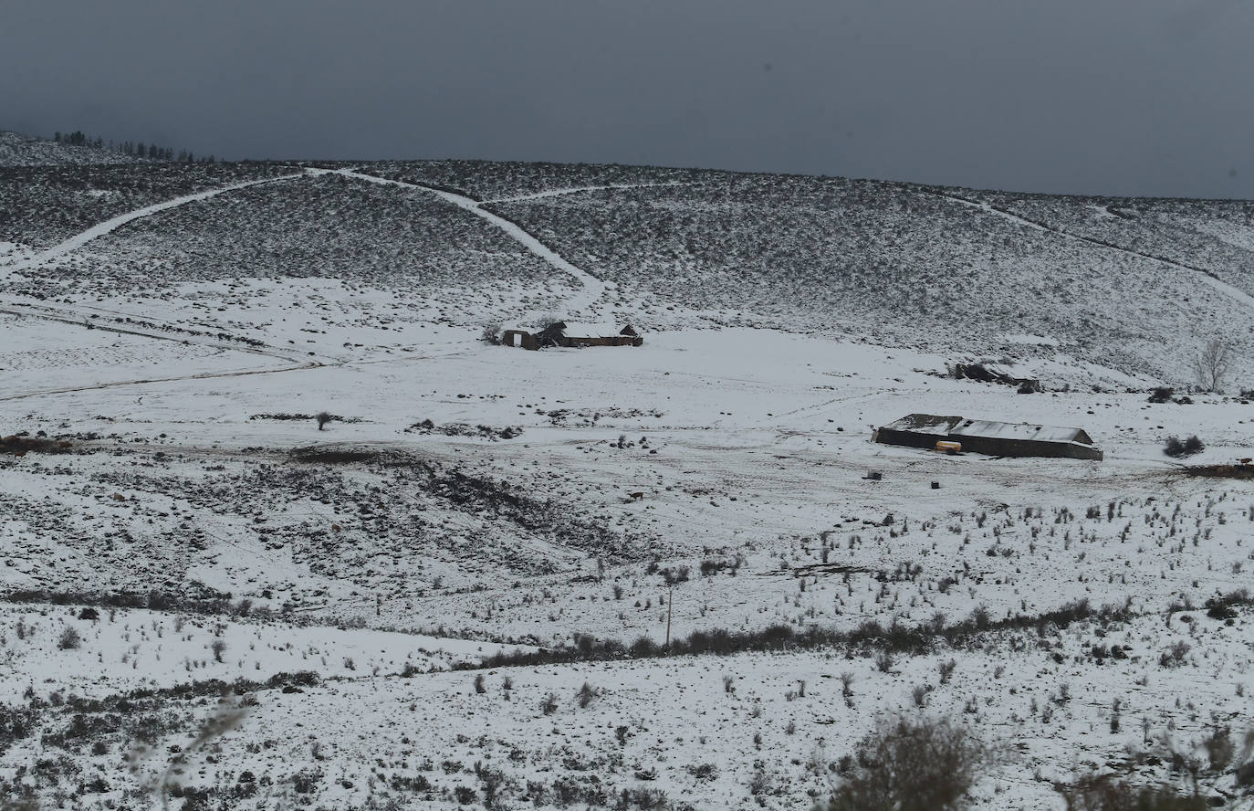 'Fien' comienza a remitir en la provincia pero la montaña se mantiene en fase de preemergencia. La nieve ha alcanzado de lleno a toda la provincia y El Bierzo no ha sido una excepción. 