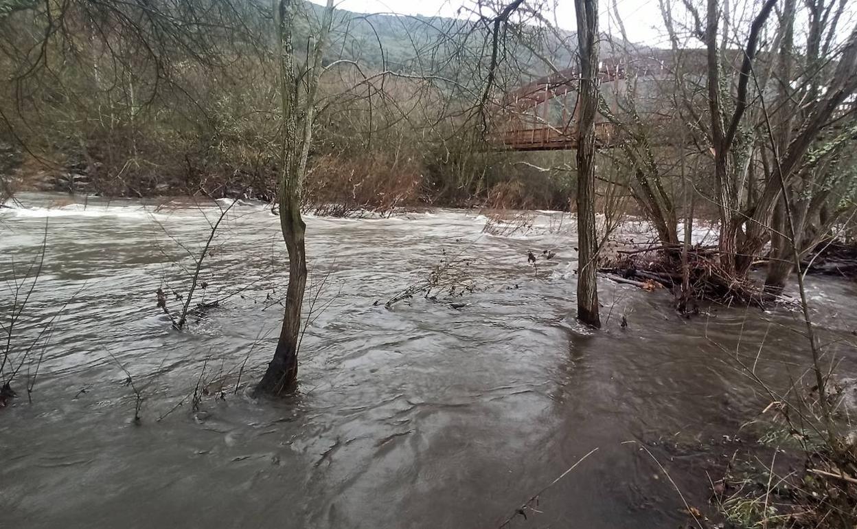 El río Sil a su paso por Ponferrada aumenta su caudal debido a las precipitaciones de los últimos días