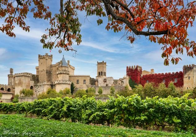 Olite (Navarra) 