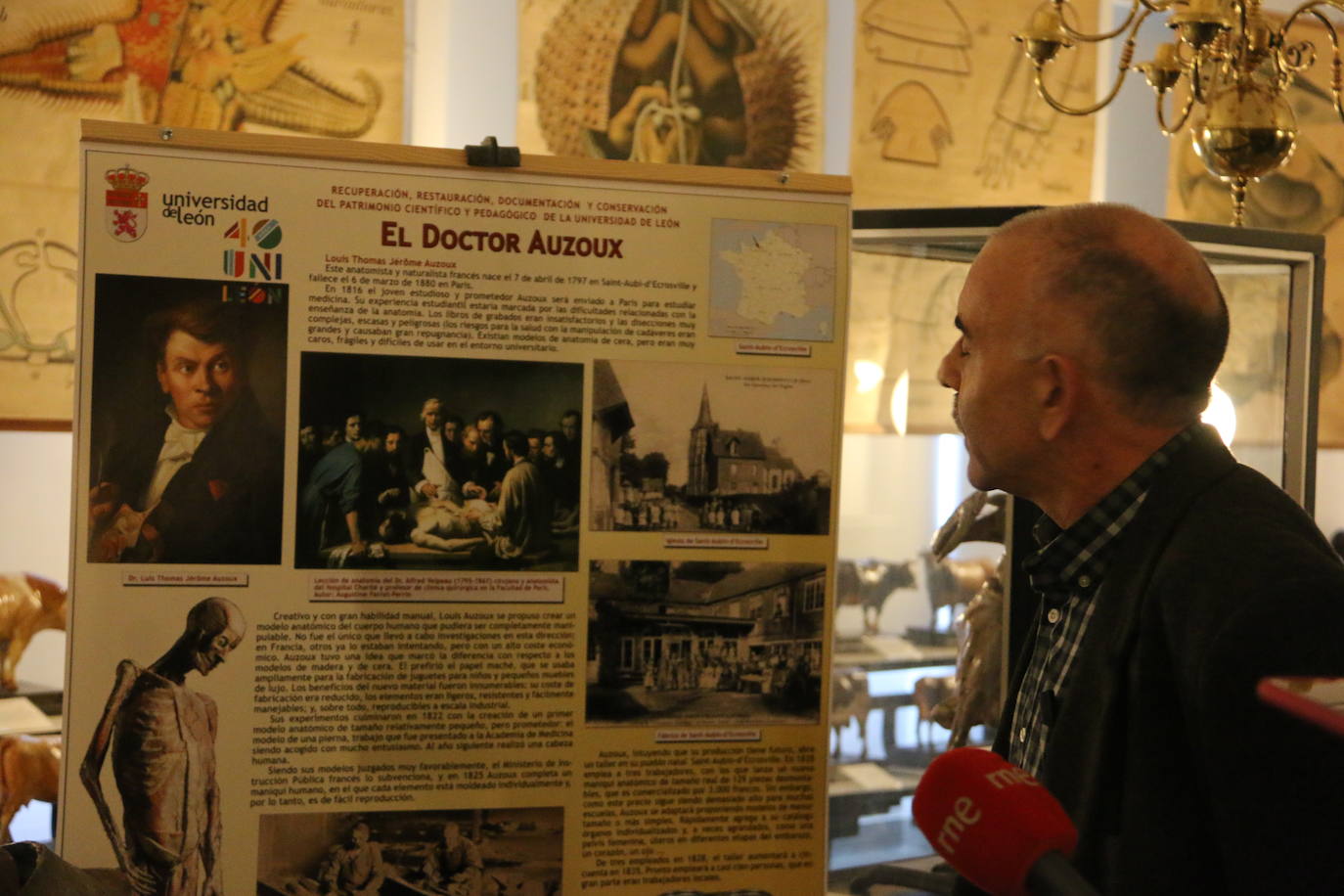 El Museo de Colecciones de la Universidad abre sus puertas a la sociedad leonesa | Ocho salas muestran parte de la colección de mamíferos, antrópodos, aves y mariposas que componen la mayor muestra de España con más de 2.500 aves de todo el mundo y 25.000 especies de mariposas | La colección biológica se amplía con una muestra patrimonial con más de mil objetos de investigación del siglo XIX.