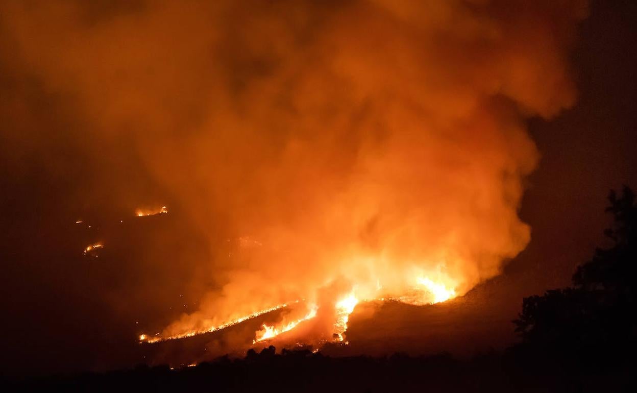 Imagen de un incendio forestal en la comunidad.