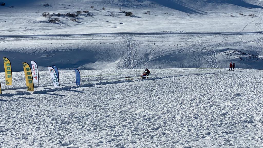 El puerto de Vegarada y Valdelugueros han vuelto a convertirse durante este fin de semana en la capital del Mushing.