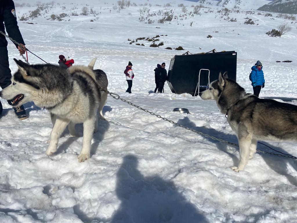 El puerto de Vegarada y Valdelugueros han vuelto a convertirse durante este fin de semana en la capital del Mushing.