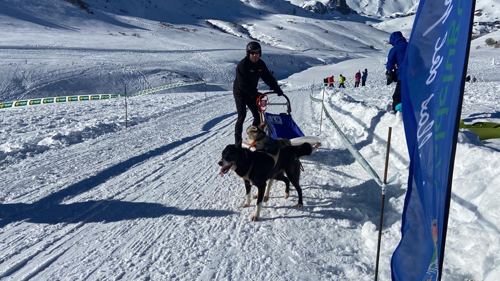 El puerto de Vegarada y Valdelugueros han vuelto a convertirse durante este fin de semana en la capital del Mushing.