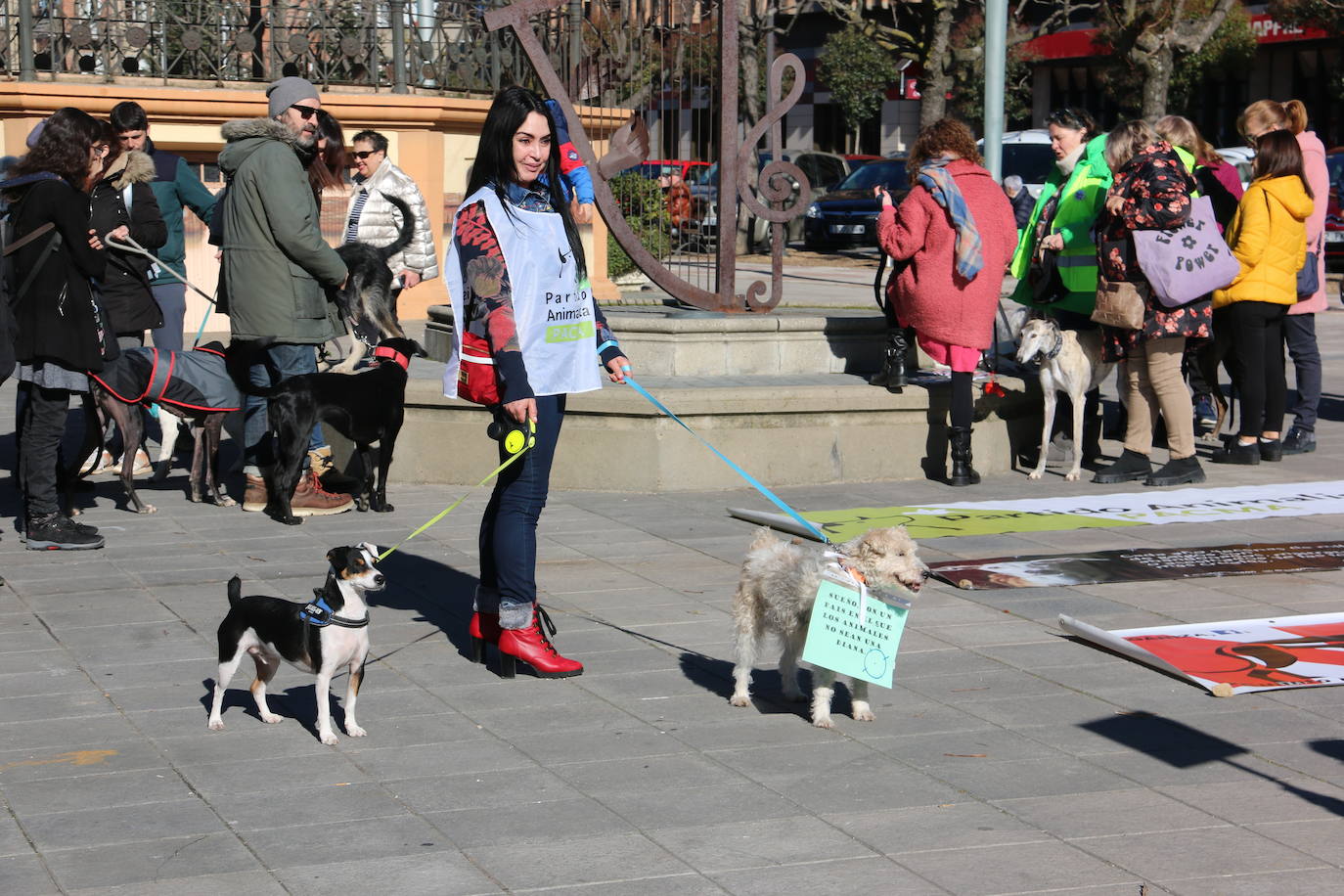 La Plataforma No a la Caza convoca en León una manifestación para exigir al Gobierno que modifique la Ley de Protección Animal e incluya en ella a perros como los galgos | EL 28 de febrero termina la temporada de caza con galgos y las asociaciones temen un «abandono masivo y asesinato» de estos animales.