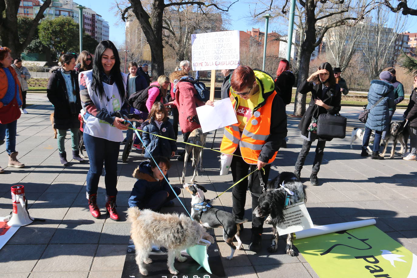 La Plataforma No a la Caza convoca en León una manifestación para exigir al Gobierno que modifique la Ley de Protección Animal e incluya en ella a perros como los galgos | EL 28 de febrero termina la temporada de caza con galgos y las asociaciones temen un «abandono masivo y asesinato» de estos animales.