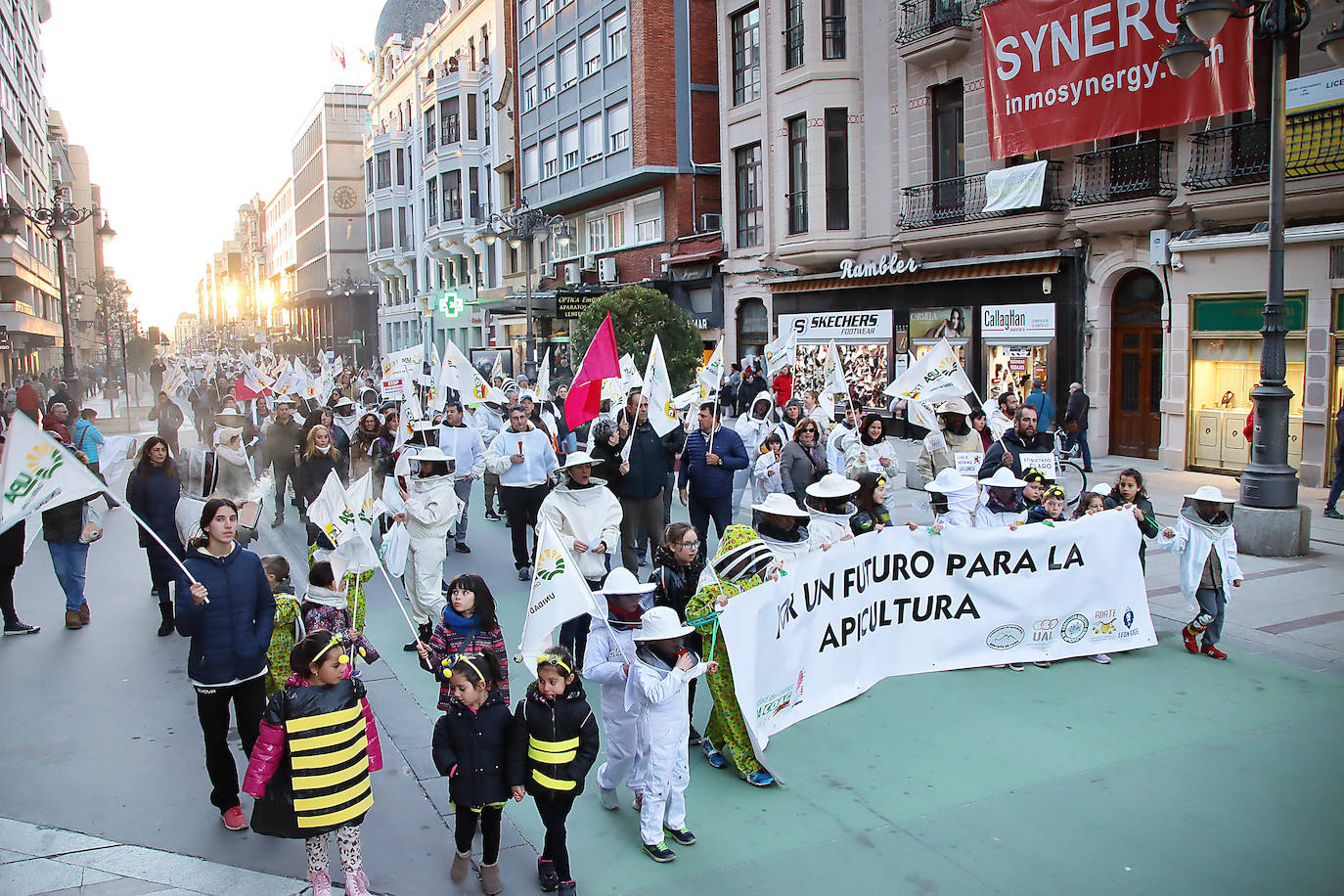 Organizaciones profesionales convocan una manifestación en León por una apicultura sostenible y rentable