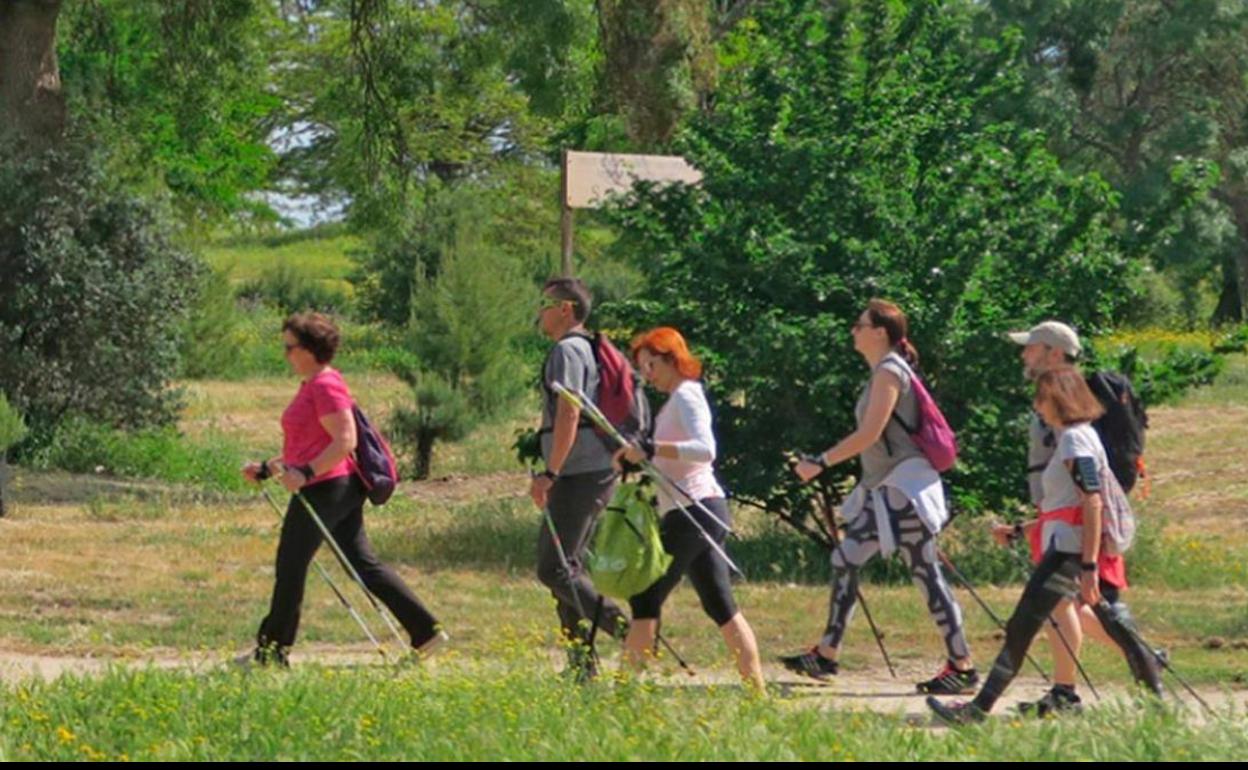 La marcha nórdica es un deporte que se realiza al aire libre y que consiste en caminar con la ayuda de bastones similares a los que se utilizan en la práctica del esquí.