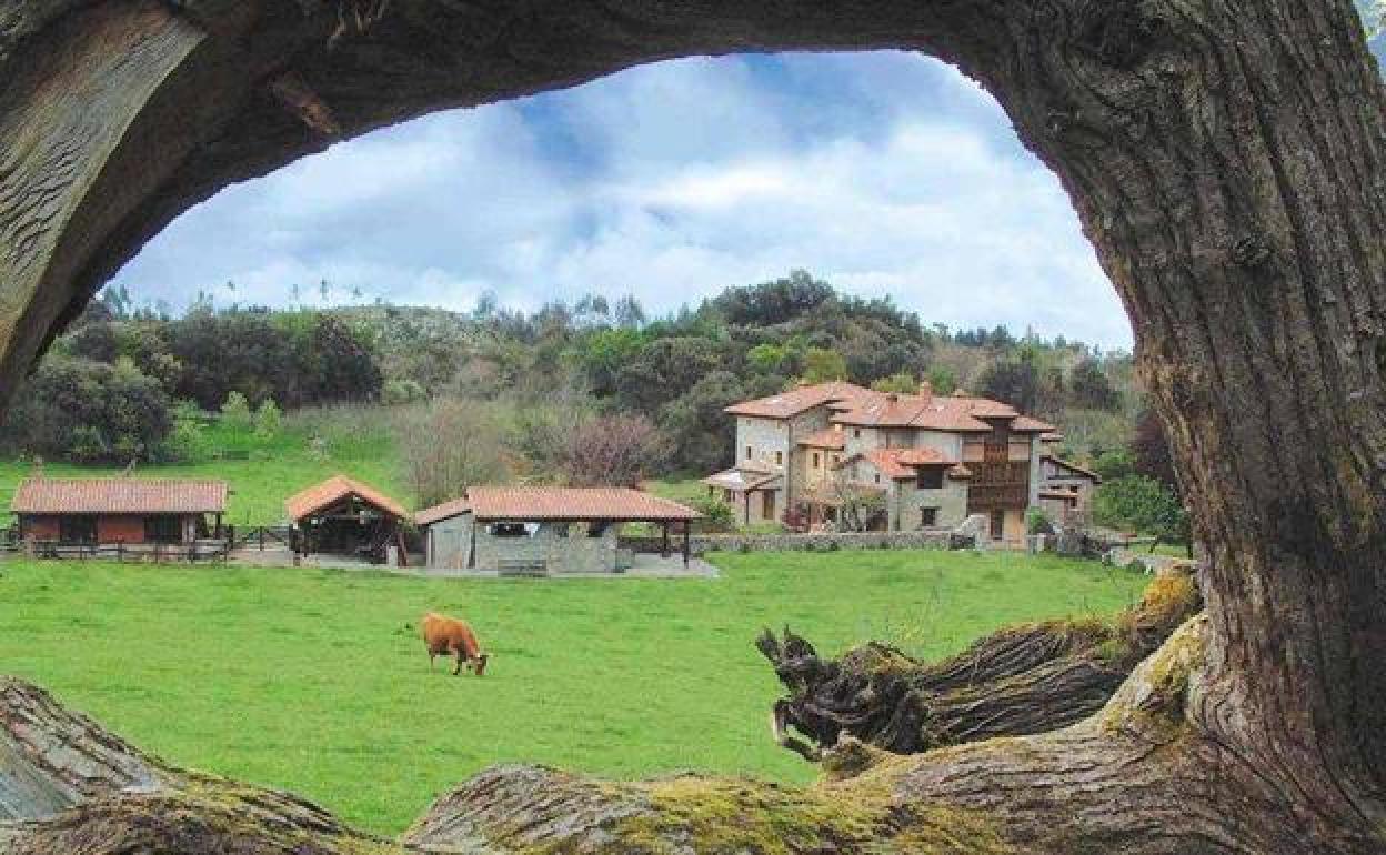 Vega de Espinareda acoge una jornada sobre despoblación y emprendimiento en el medio rural.