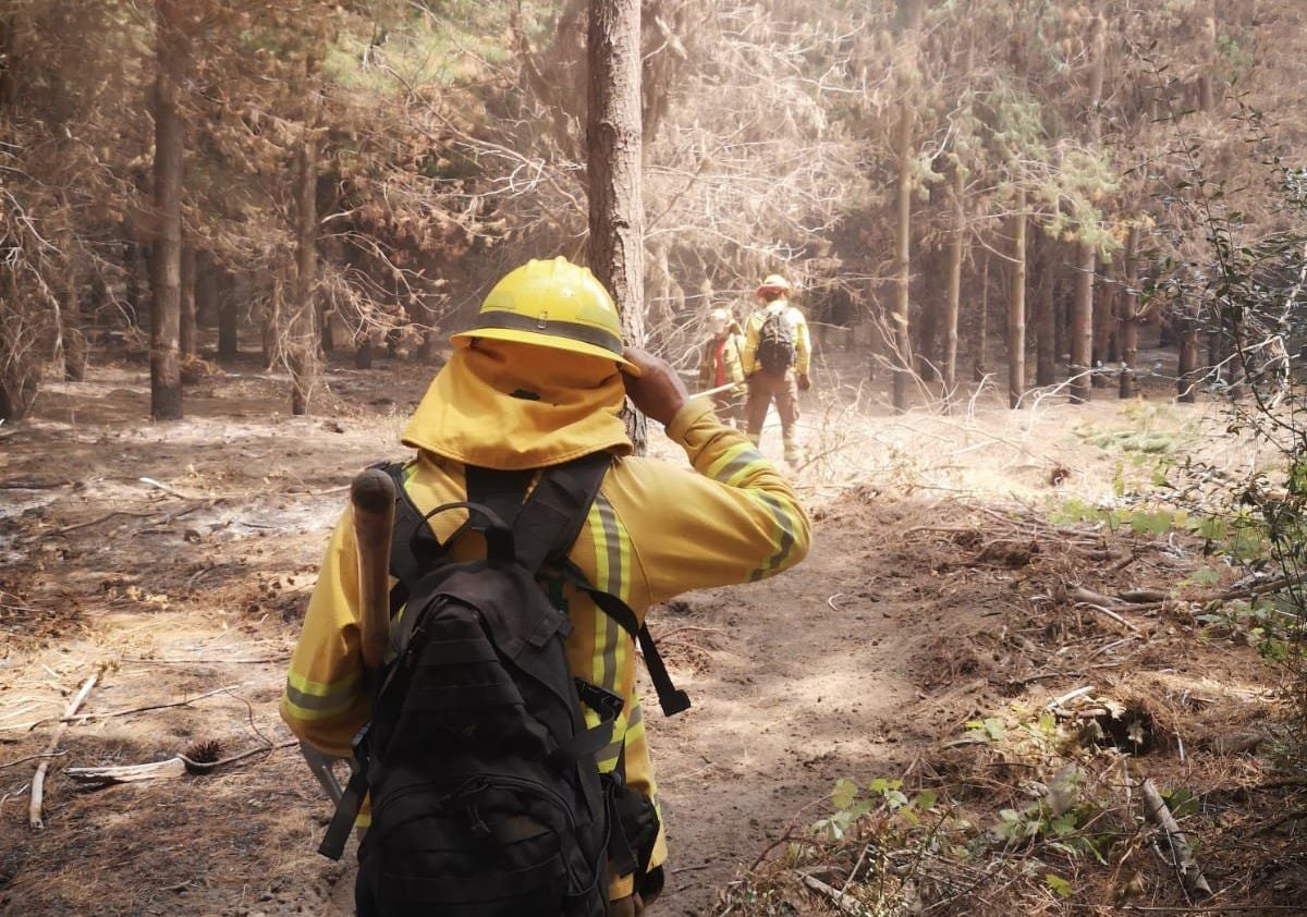 La Brigada de Refuerzo en Incendios Forestales con base en Tabuyo del Monte realiza su primera misión de apoyo internacional en Chile. Colaboración, empeño y sacrificio, sus banderas en esta intervención. 