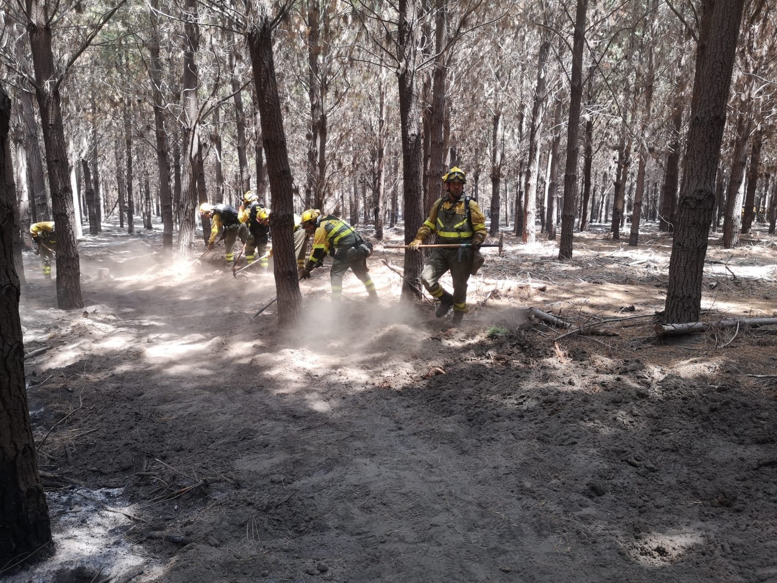 La Brigada de Refuerzo en Incendios Forestales con base en Tabuyo del Monte realiza su primera misión de apoyo internacional en Chile. Colaboración, empeño y sacrificio, sus banderas en esta intervención. 