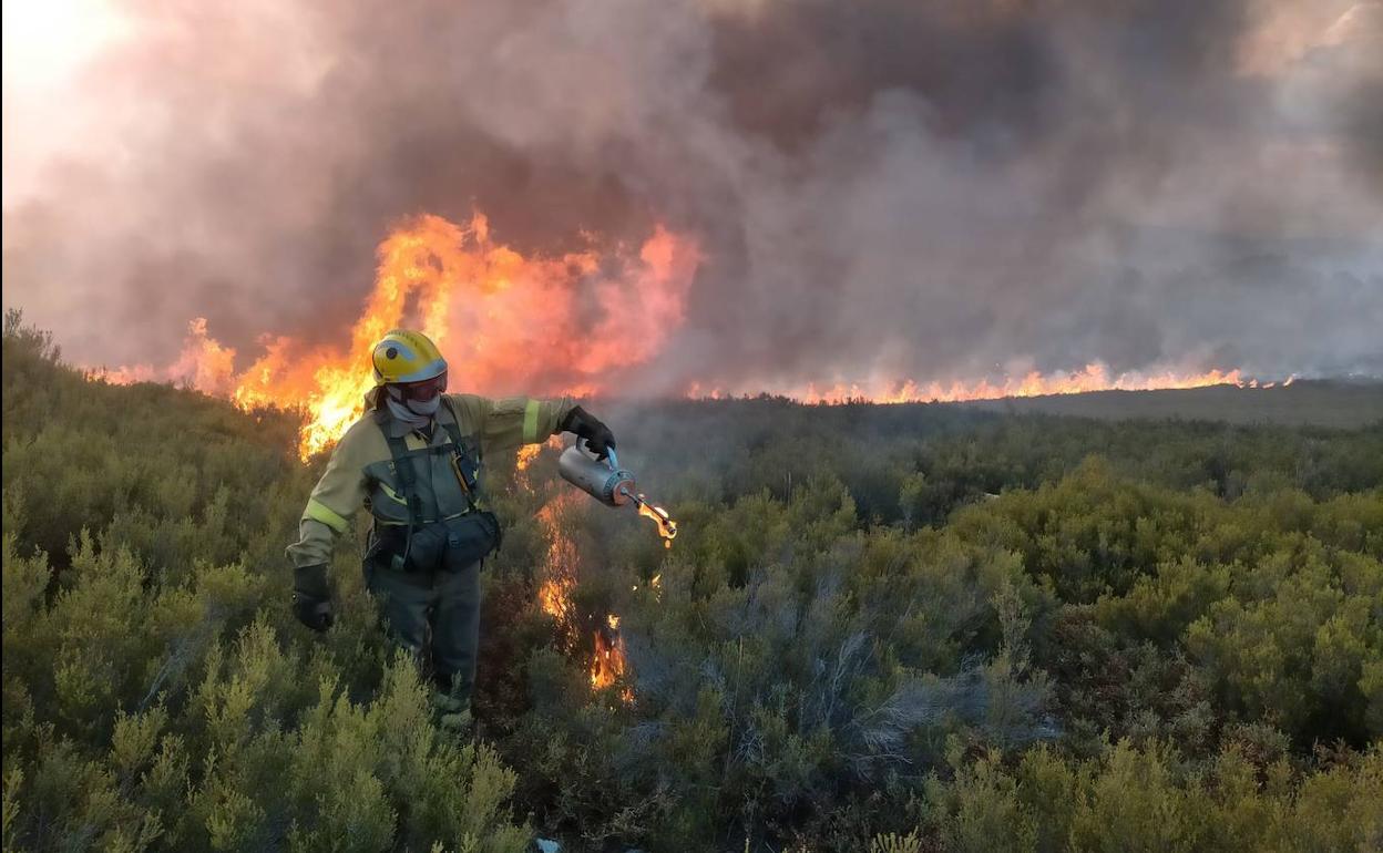 Imagen de un incendio en El Bierzo.