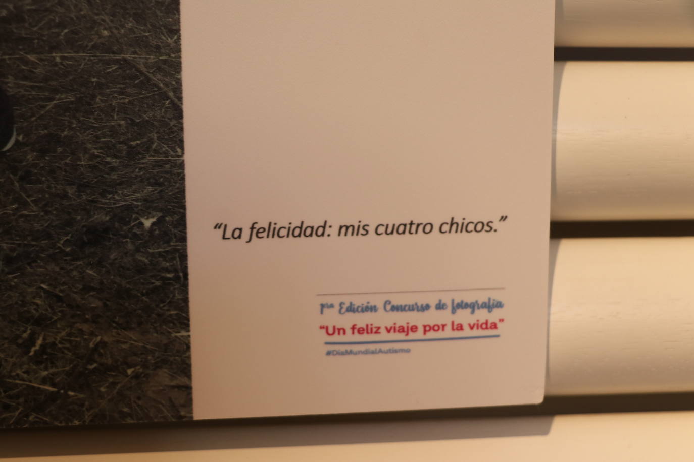 Inauguración de la Exposición del I Concurso de Fotografía «Un feliz viaje por la vida» organizada por la Federación Autismo de Castilla y León.