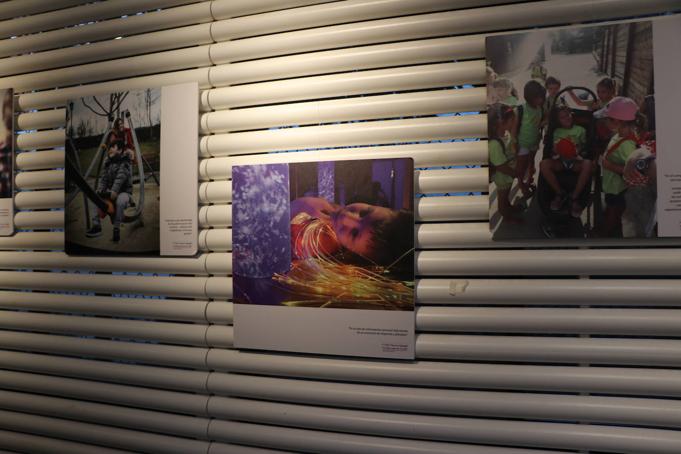 Inauguración de la Exposición del I Concurso de Fotografía «Un feliz viaje por la vida» organizada por la Federación Autismo de Castilla y León.