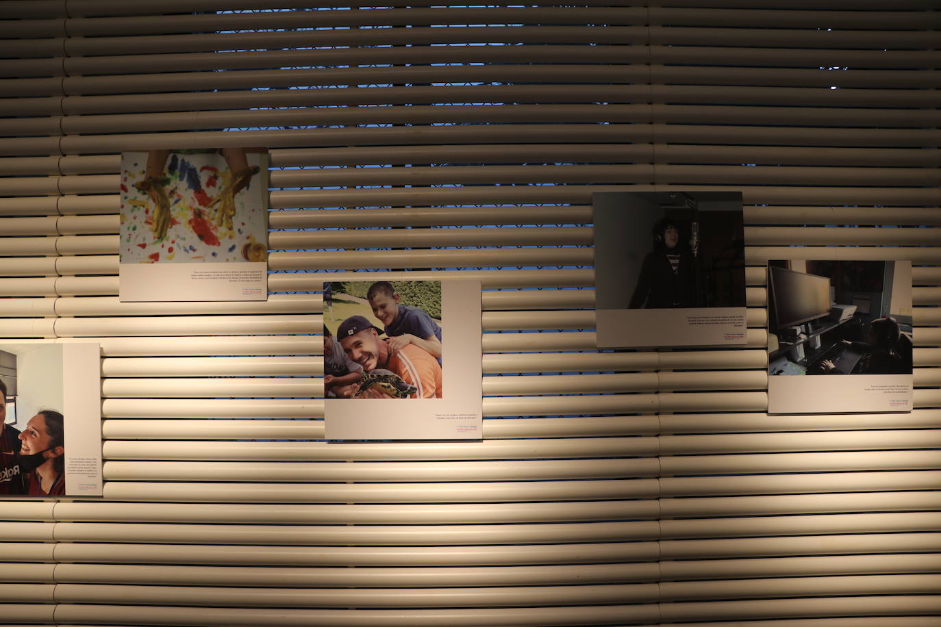 Inauguración de la Exposición del I Concurso de Fotografía «Un feliz viaje por la vida» organizada por la Federación Autismo de Castilla y León.