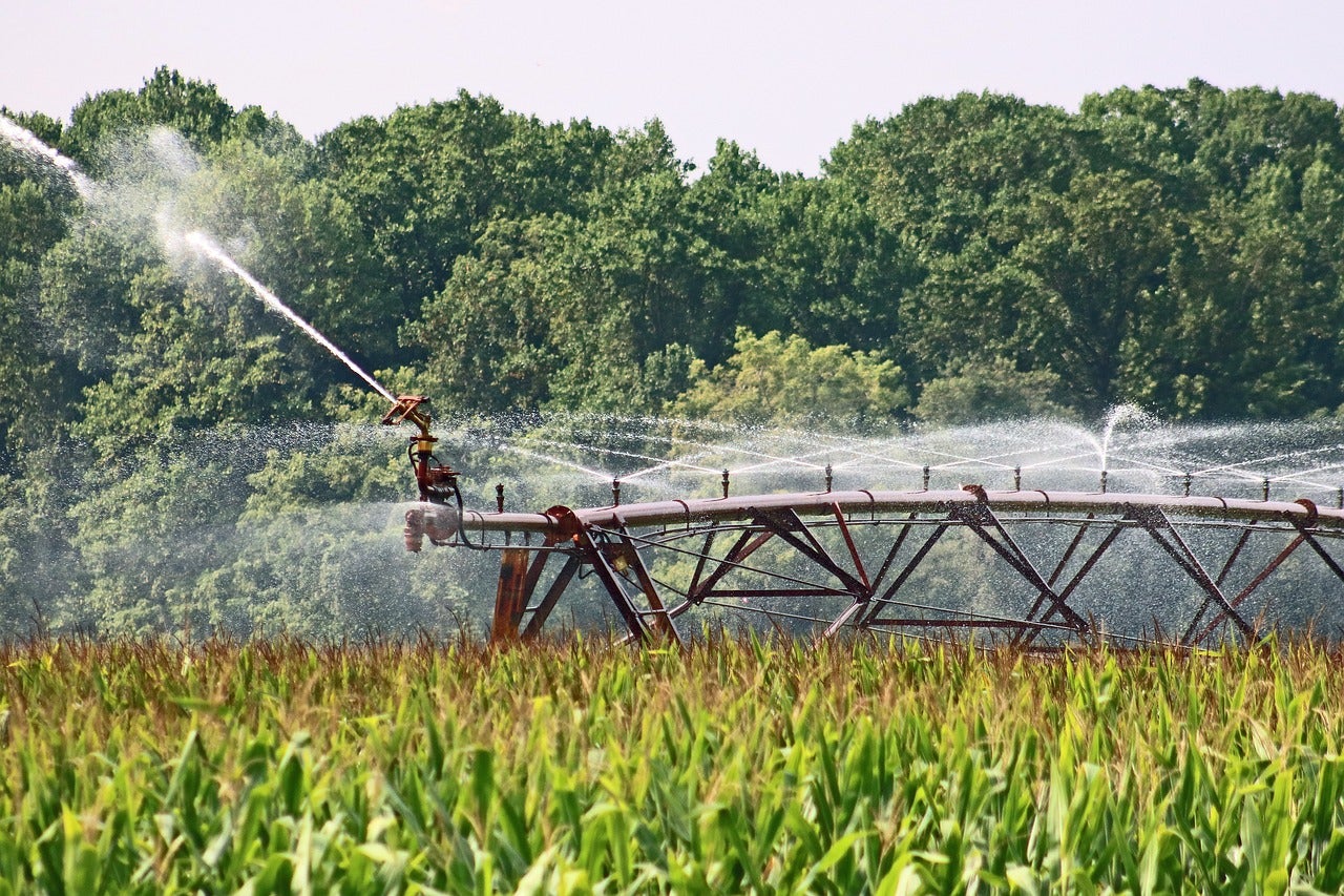 Las actuaciones beneficiarán a 4.448 regantes que cultivan 3.511 hectáreas.