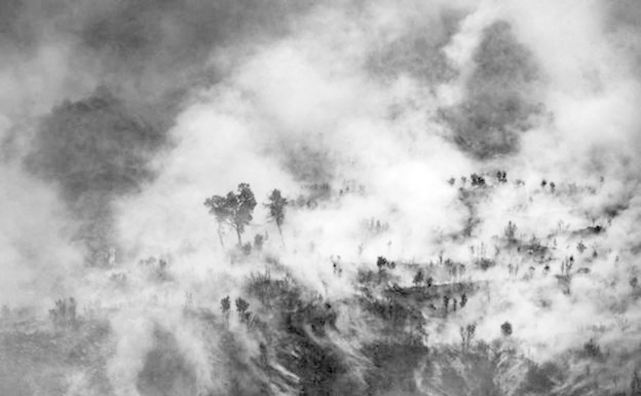 El fuego de Bejís avanzó a una velocidad inusitada y fuera de todo control