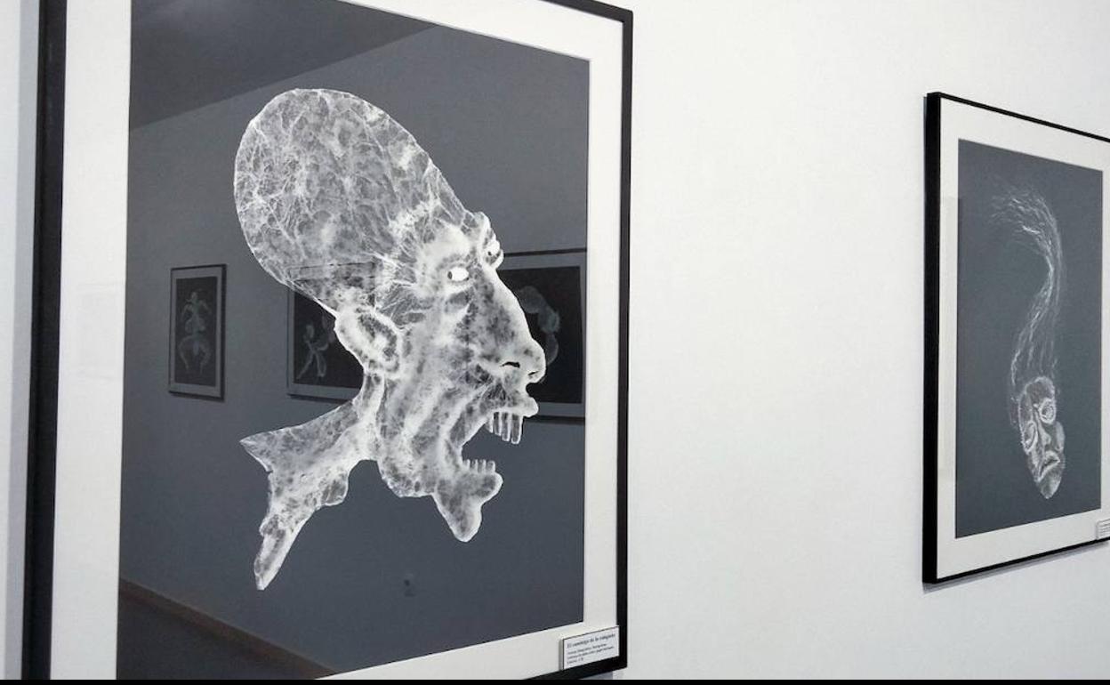 Exposición 'Breviario del Harén' del artista berciano, Casimiro Martinferre, en el Campus de Ponferrada.