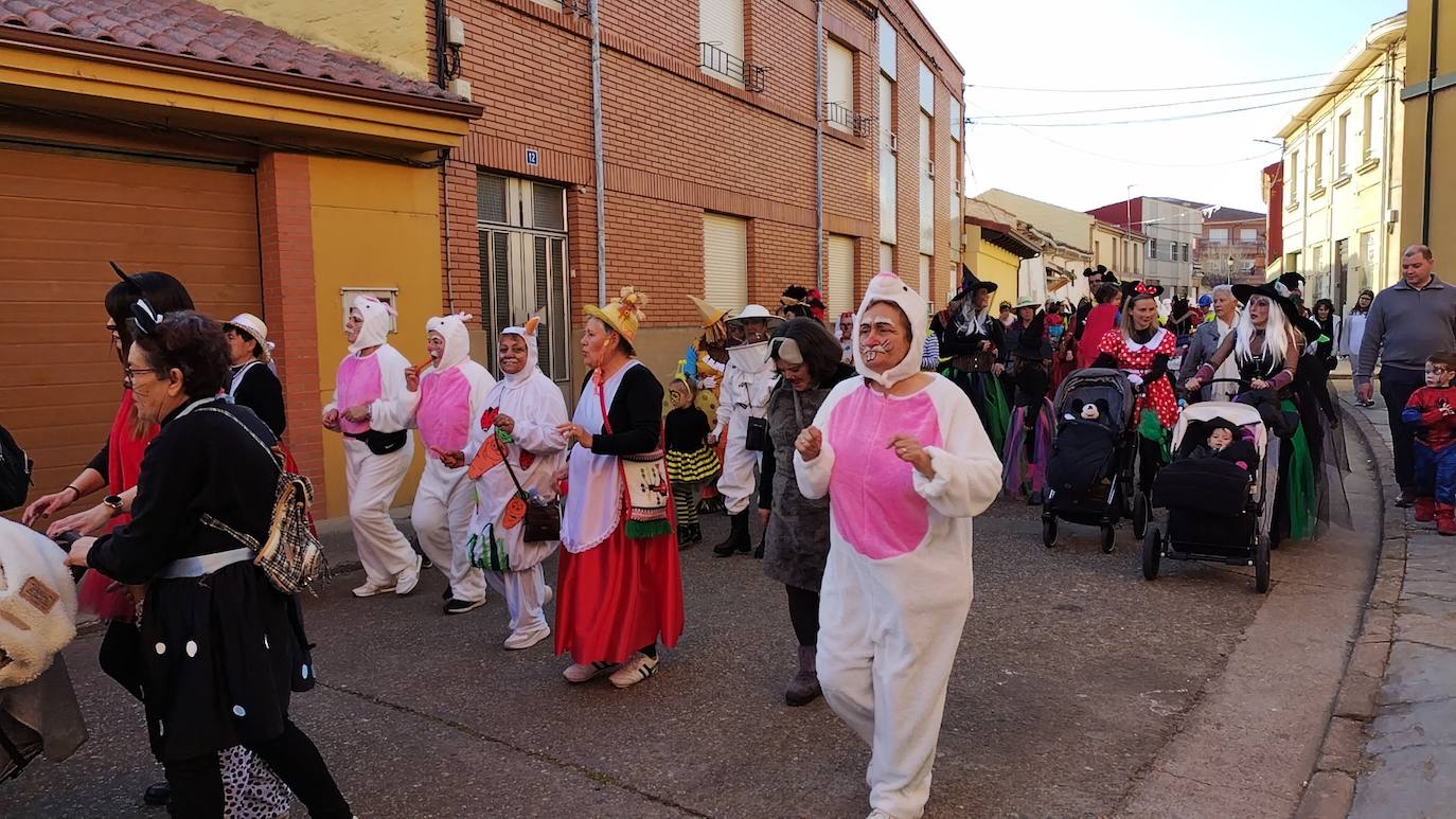 La localidad leonesa se ha puesto sus mejores disfraces para honrar a Don Carnal en su tradicional desfile.