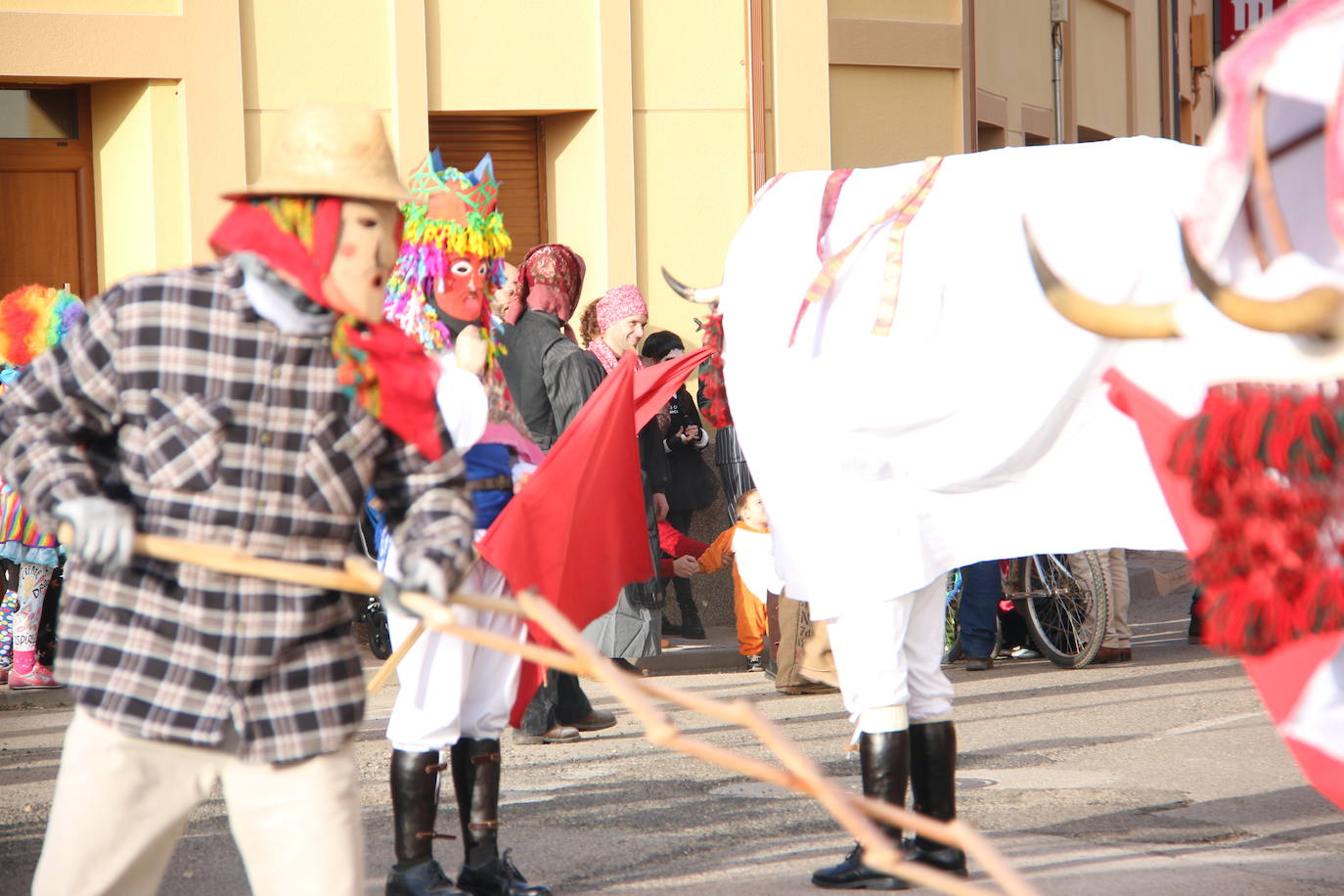 Toros y toreros varean a todos los que se acercan al antruejo de Alcoba