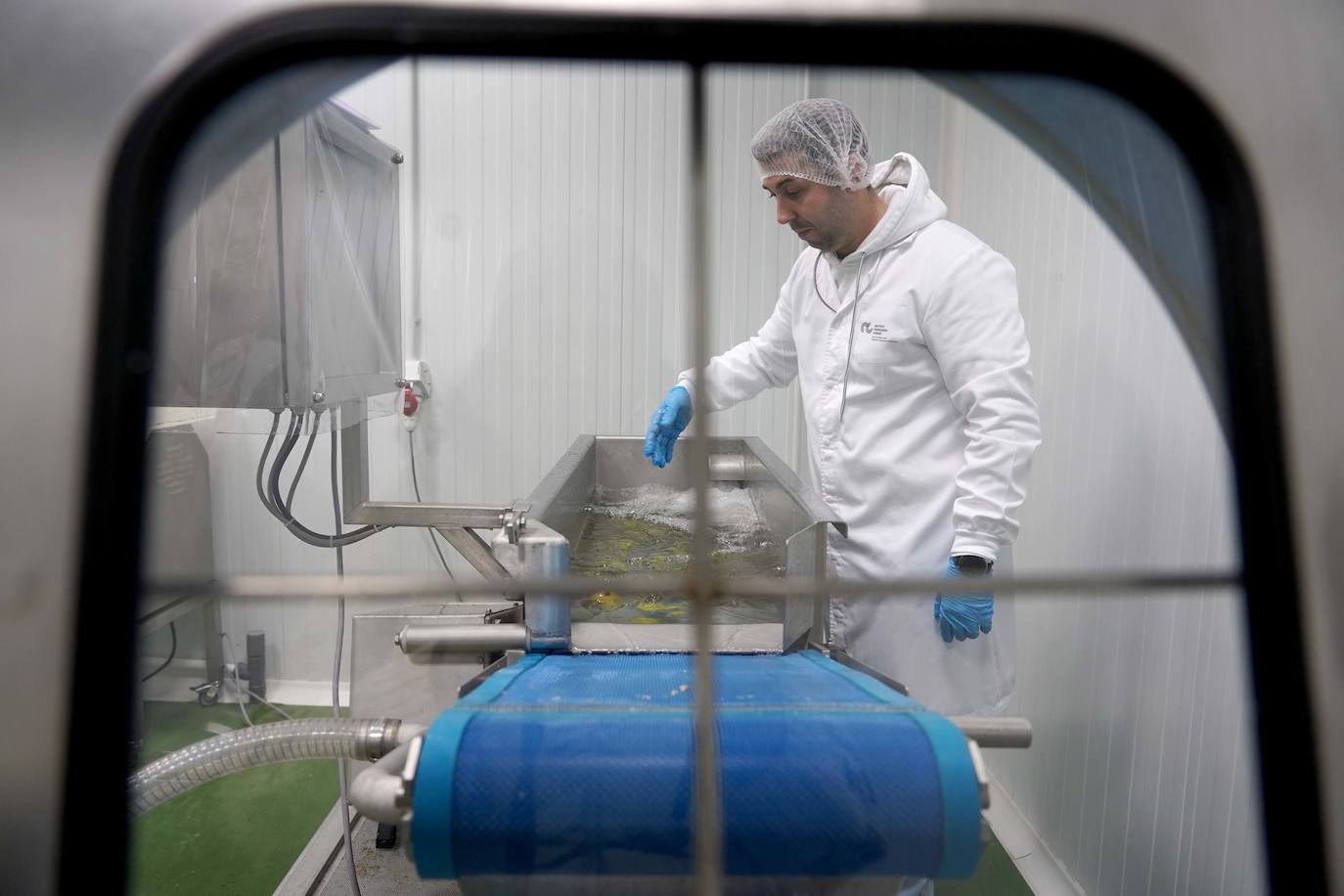 Cata del proyecto de investigación 'Bierzo Sensomarkt' del Itacyl con la colaboración de Alimentos de Calidad de El Bierzo y la empresa palentina Sociograph, que aplica la innovación tecnológica a la pera Conferencia y la manzana Reineta.
