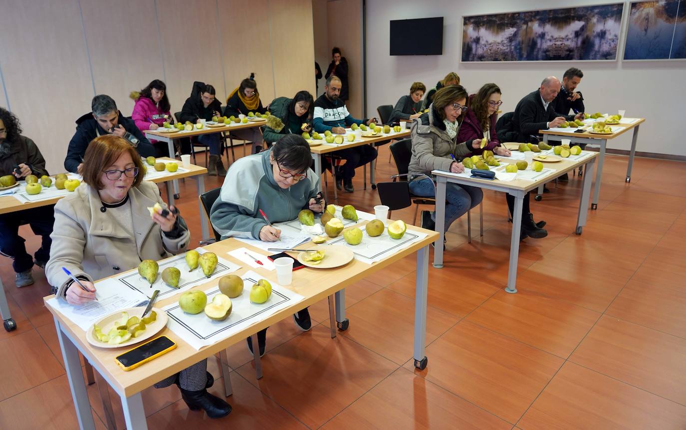 Cata del proyecto de investigación 'Bierzo Sensomarkt' del Itacyl con la colaboración de Alimentos de Calidad de El Bierzo y la empresa palentina Sociograph, que aplica la innovación tecnológica a la pera Conferencia y la manzana Reineta.