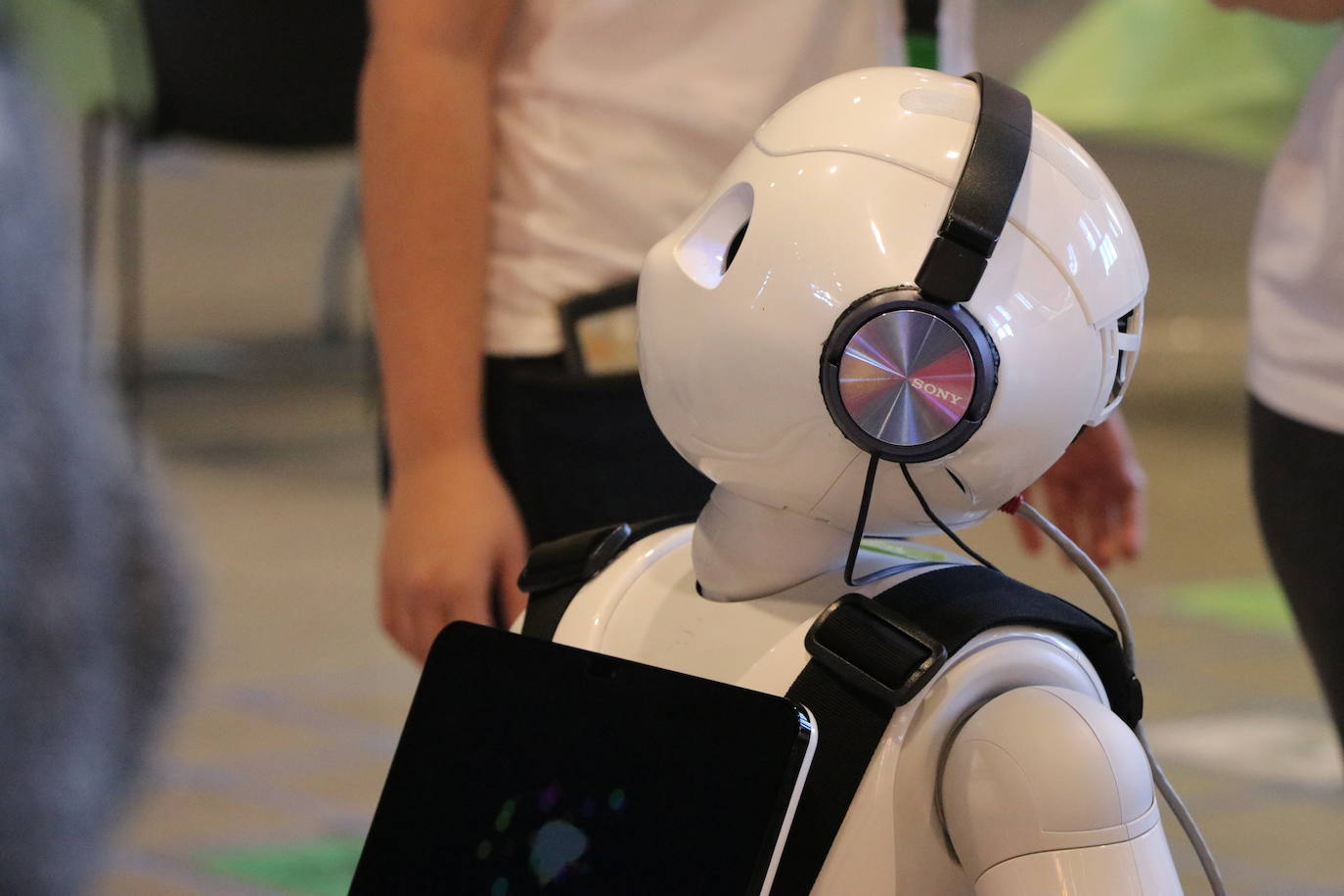 El Palacio de Exposiciones y Congresos de León acoge la cuarta edición de Expociencia que durante tres jornadas conectará la investigación que se realiza en aulas y laboratorios de la Universidad de León con su provincia | Se espera superar las 16.000 visitas en una edición en la que participan 400 investigadores de la Ule y que cuenta con representación de todas las áreas de conocimiento.