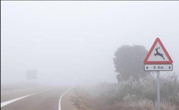 La niebla complica el tráfico en varias carreteras de la comunidad. 