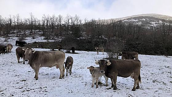 Un viaje por la provincia entre la nieve