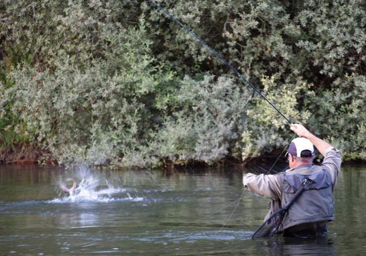 Un pescador en un río leonés en imagen de la Asociación PescaLeón.