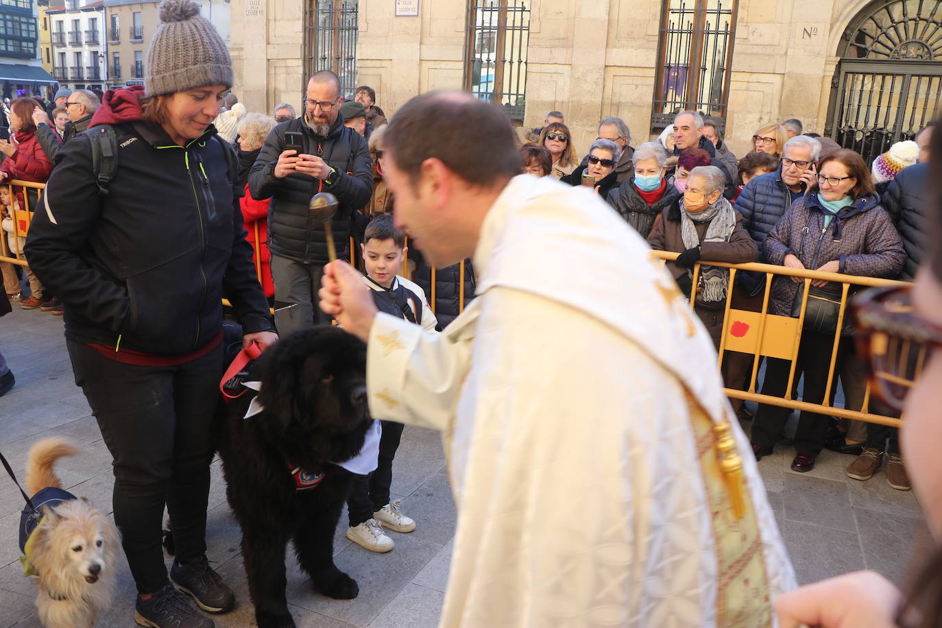 La bendición de San Antón