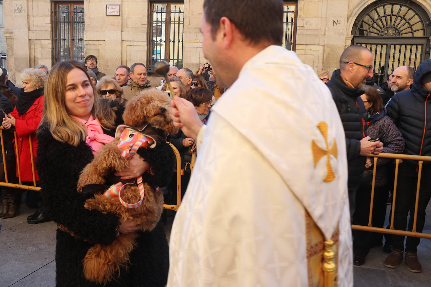 La bendición de San Antón