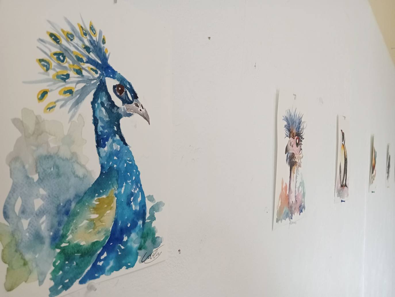 Exposición de Carla Rodríguez