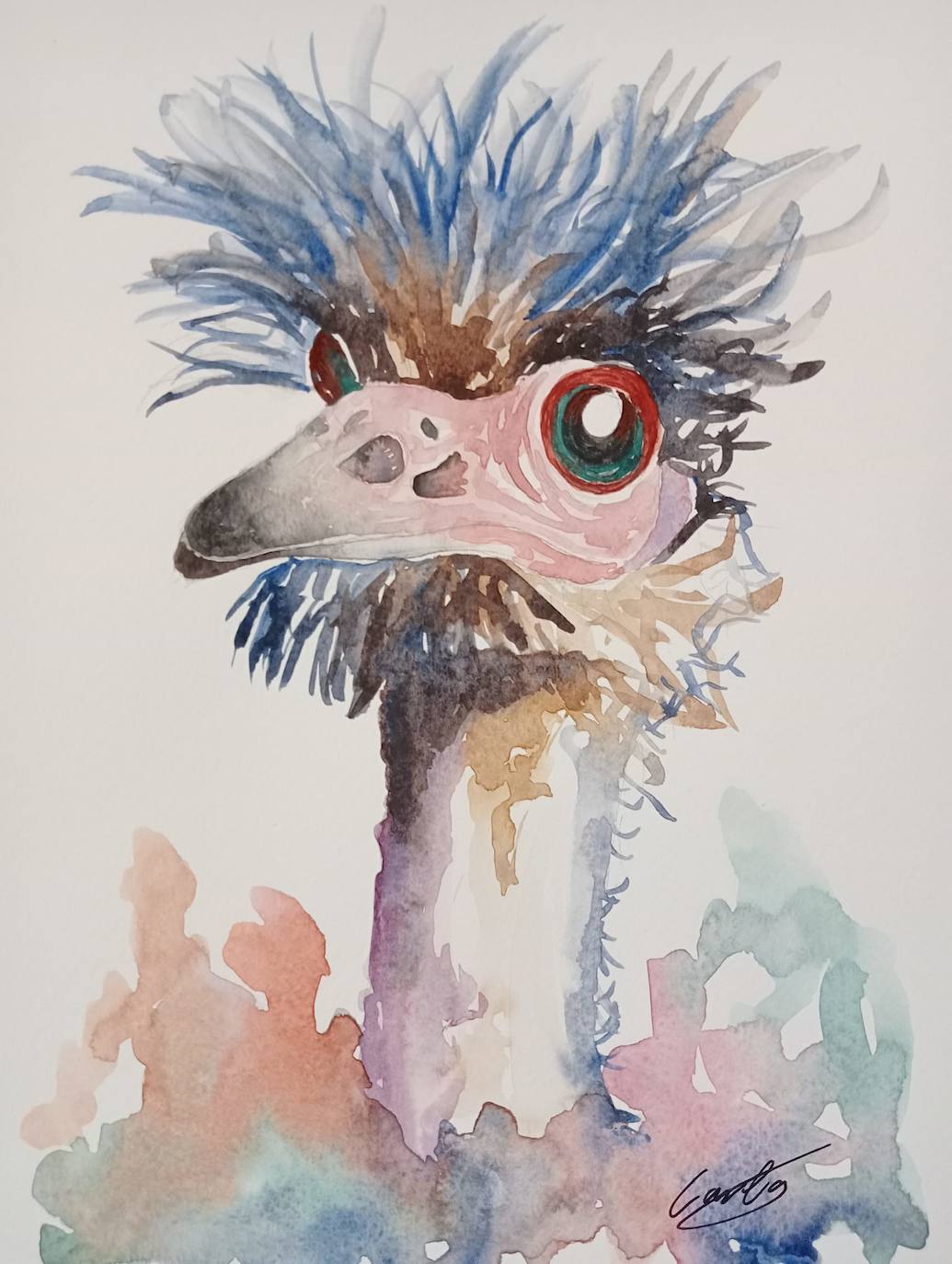 Exposición de Carla Rodríguez