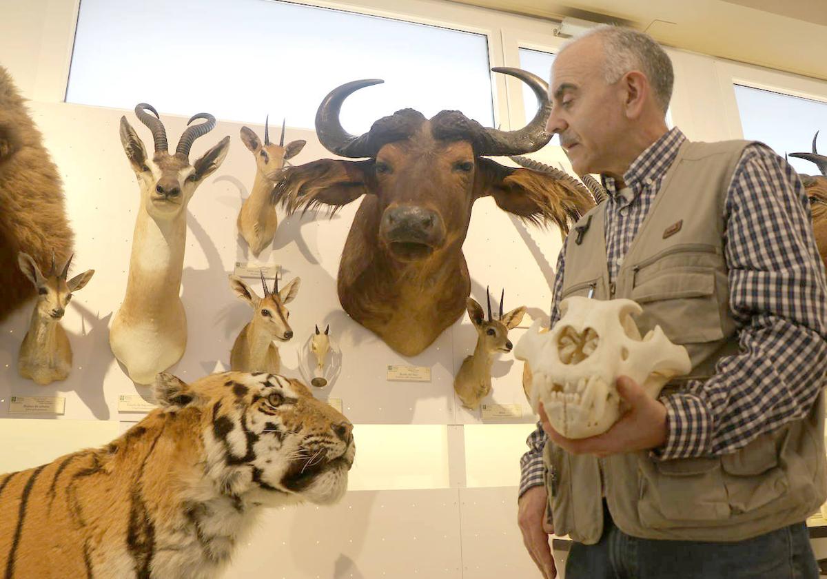 Luis Miguel Fernández Blanco en una de las salas del Museo de las Colecciones de la Universidad de León.