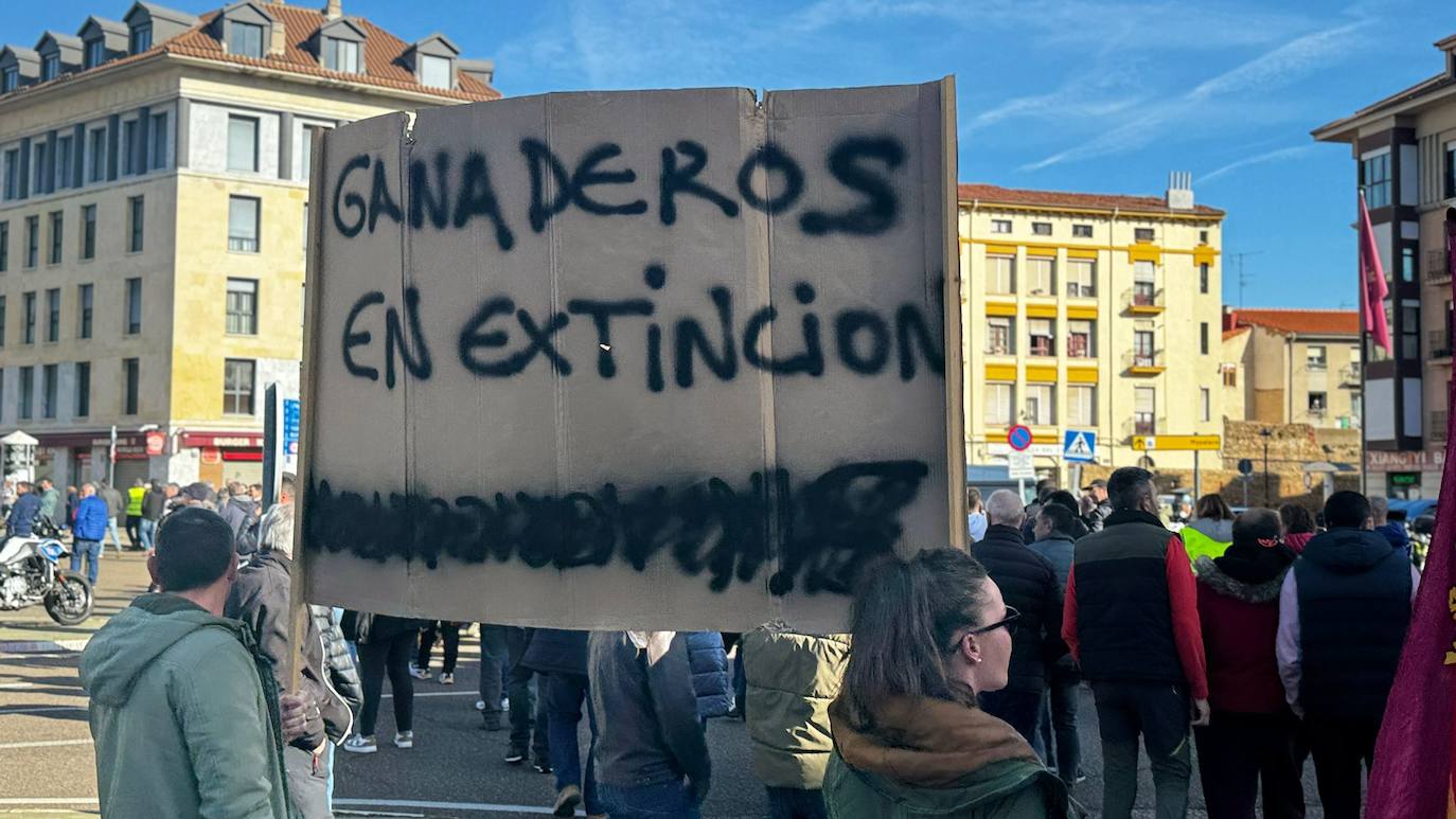 Las imágenes de la tractorada en León