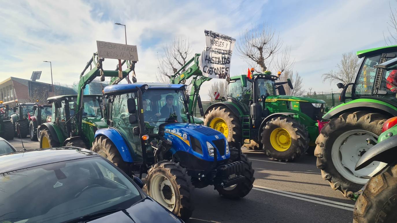 &#039;Tractorada&#039; del sector agrario en León