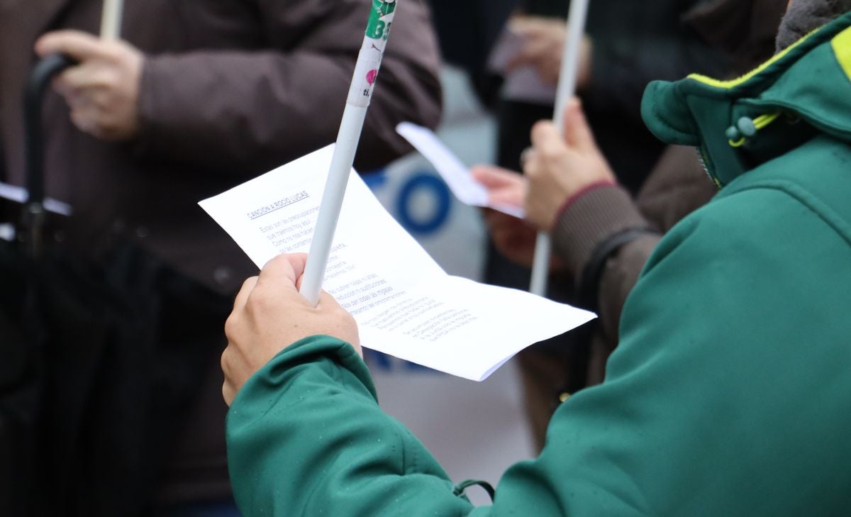 Concentración de la educación leonesa