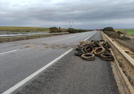 Neumáticos que ocuparon la calzada de la AP-66 y obligaron a cortar un carril.