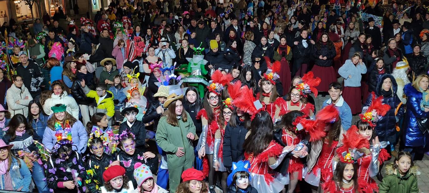 Carnaval en Valencia de Don Juan