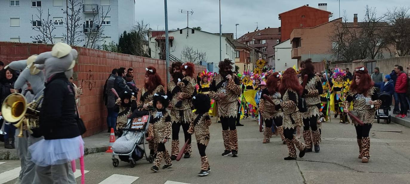 Carnaval en Valencia de Don Juan