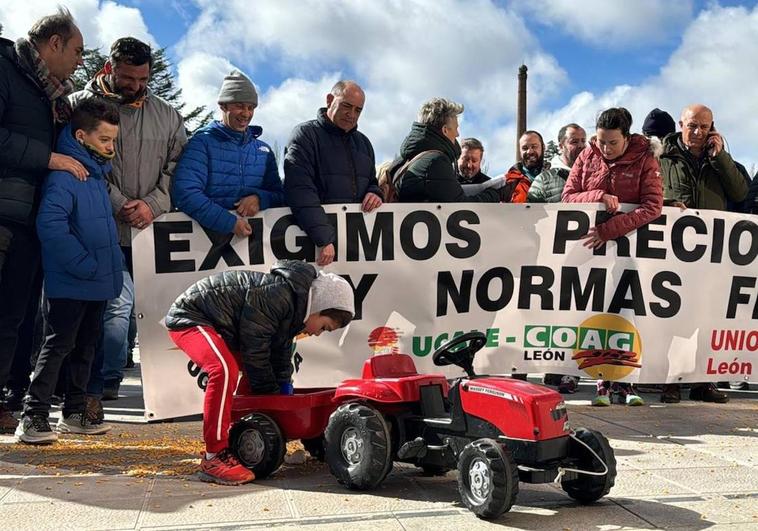 Un niño vacía su tractor de maíz en la delegación de la Junta de Castilla y León.